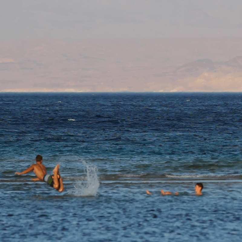 TAFF2023: Screening “Shall I Compare You to a Summer’s Day?//بشتقلك ساعات”